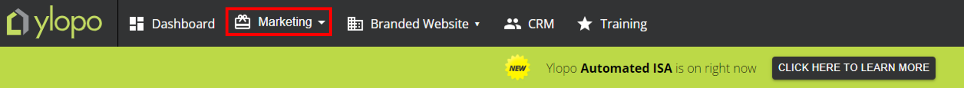 MC Marketing2.png