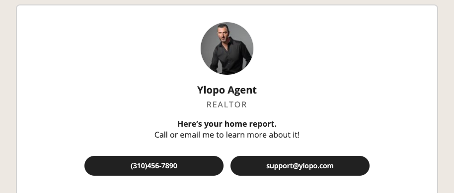 agent details.png