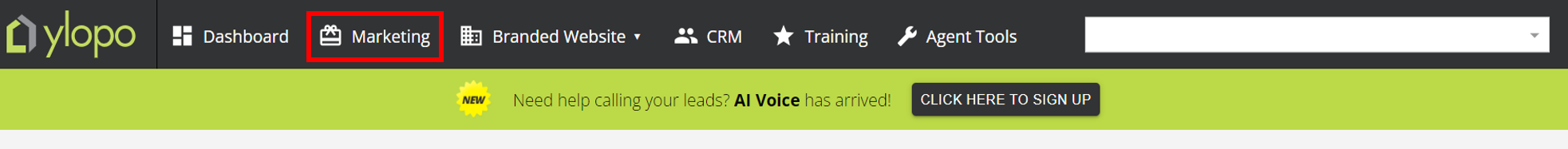 MC Marketing.png